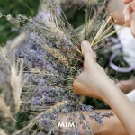 Noaptea Sânzienelor