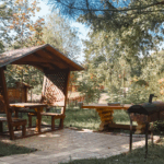 Poiana Bradului Complex Hotelier