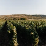 Boutique Hotel KISLOV